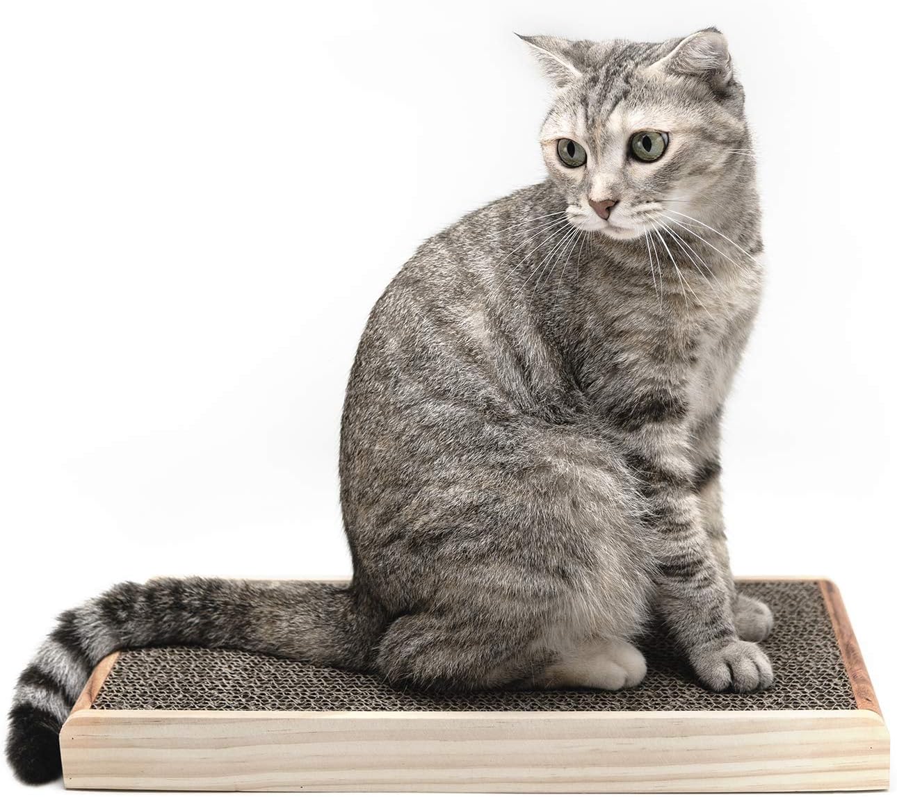 TigerLi 木製キャットスクラッチャーボックス 詰め替え用(2パック)